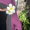 its_bakhid