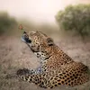 zahrraa998