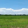 tarikul.i