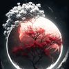sojib.hosan34