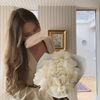 lady_in_beige