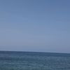 mohamed36835