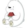 soy_polar6