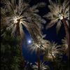raghad.525