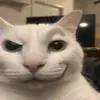 kerevinbloqueado