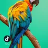 kamel.djsam