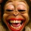 flying_monkey68