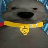 havik_editz1