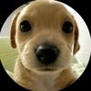 thiago.manuel24