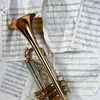 roseacero172
