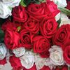 user834617962914
