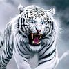 tiger.slash.ii