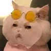 kim_ngoc118