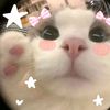 cuteegrils20