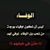 user62221467933720