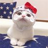 Cute animal