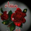 midanahmed.hamida
