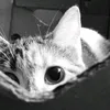 ihopeyourfinee