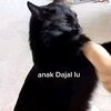 korizen_ntaaa0