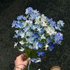 user1243003009317