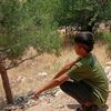 onlinediyo
