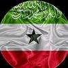 mohameth.2025