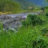 p.trn.hai.nht.hu