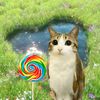 candythefreakycat