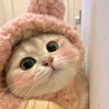 sleppy_inaaa