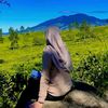 sintya.tya13
