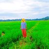sulay93269