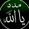 user81081102287783