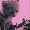 pinkpantheresstan1