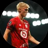 adrien377