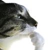 marmok_marmok_marmok