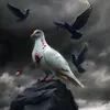 hhmf0
