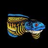 predat0ry_fish_l0ver