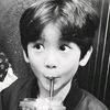 nt.vn_z