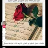 user11145455191135