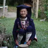 Hân Hân