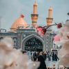 zainabtahira657