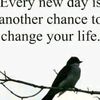 user2810606129269
