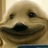 anhlo67