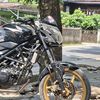 rafzz8520