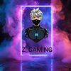z_gaming_2