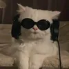 m_1yt2