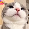 tygyu32