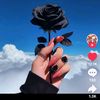 user61374782881673