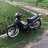 arta_sapto