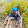 mashanz267